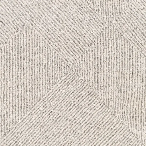 Gavic Rug | 2304